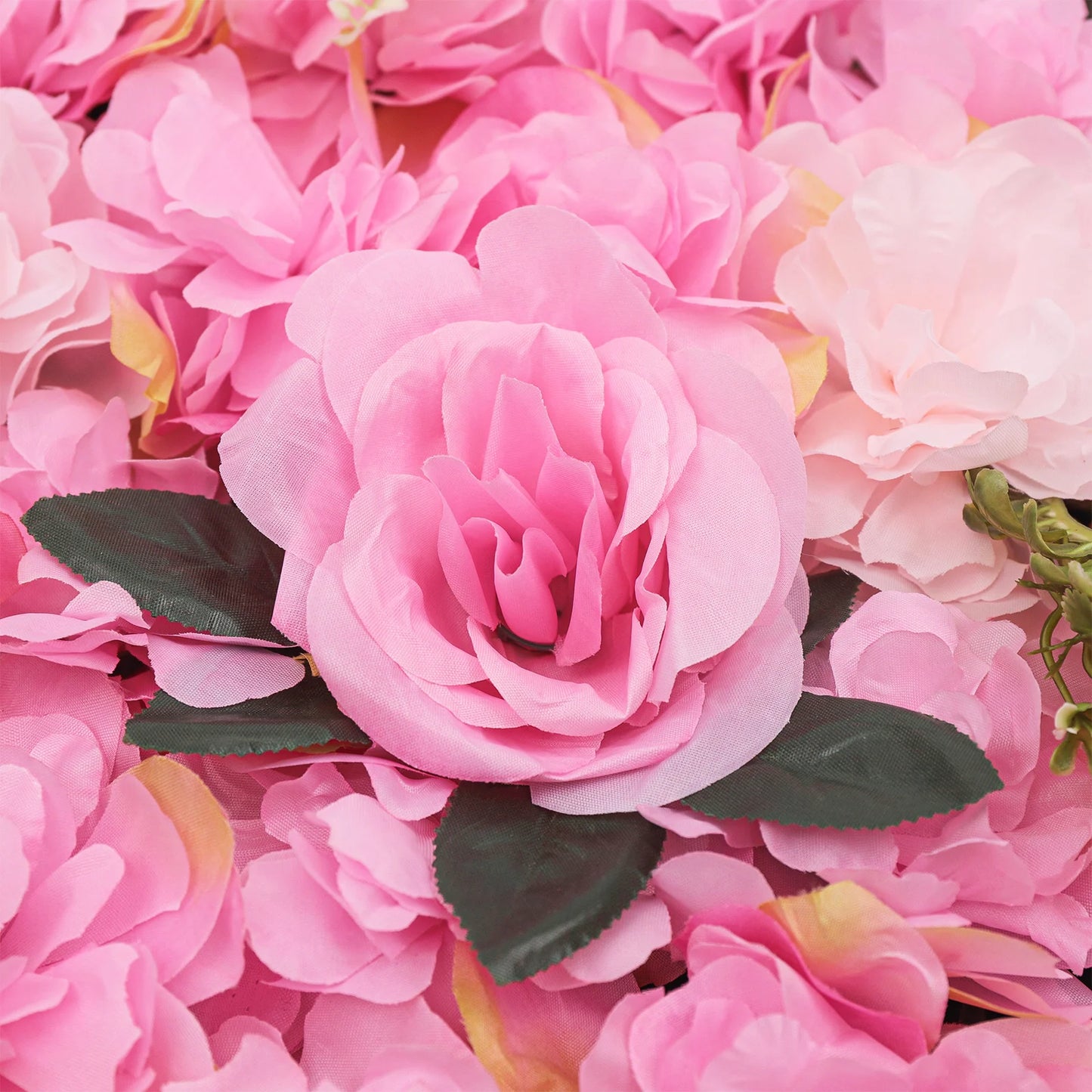 23.62x15.74 inch 12-Piece Flower Plant Wall Deep-Pink Dahlia Roses For Wedding Party Background Decoration